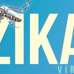 ZIKA PAHO WHO