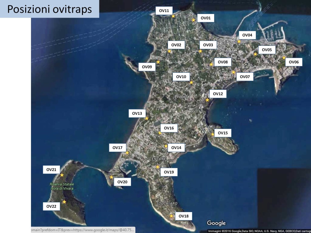 Posizioni delle ovitrappole nell'isola