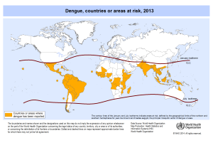 Mappa Rischio Dengue, OMS 2014
